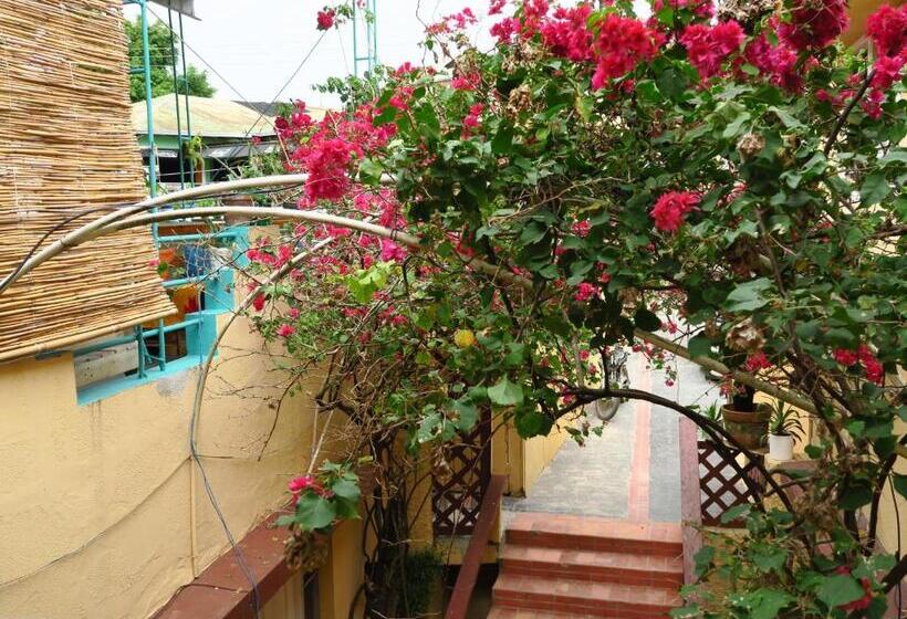 تختخواب و صبحانه Eco Hotel Club Rolling Stone