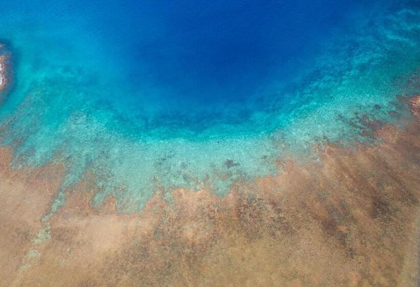 مبيت وإفطار Seagull Cove Resort