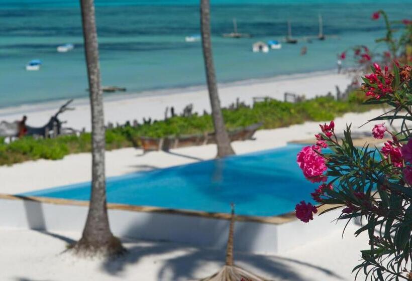 Belvedere Resort