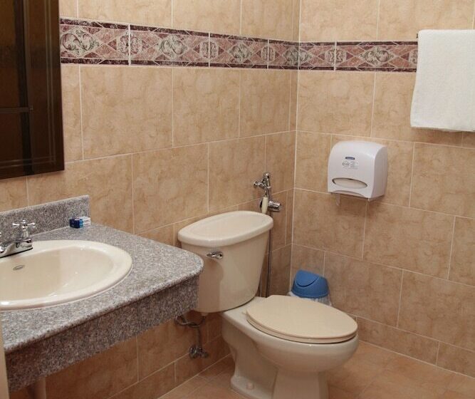 Fotos del hotel Alcala:  9