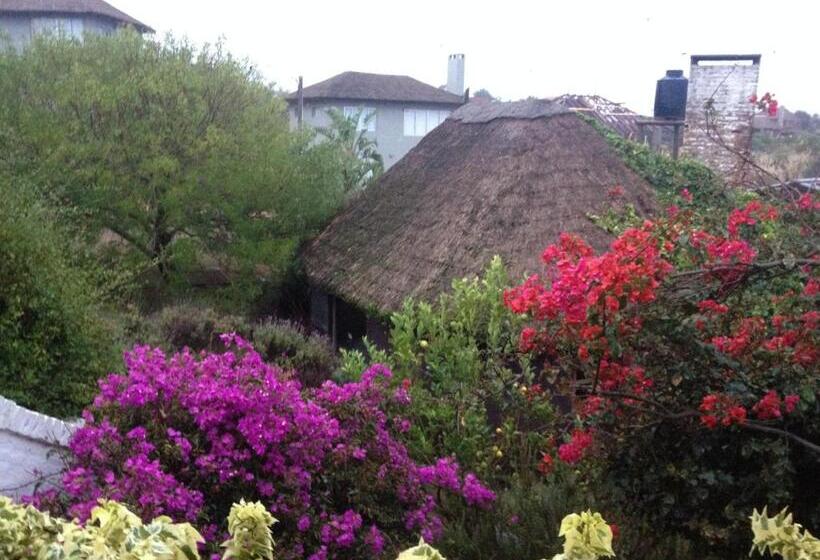 هتل Complejo Oceanico