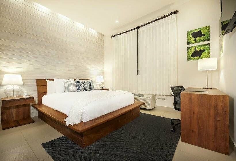 Fotos del hotel Elements Hotel Boutique:  16