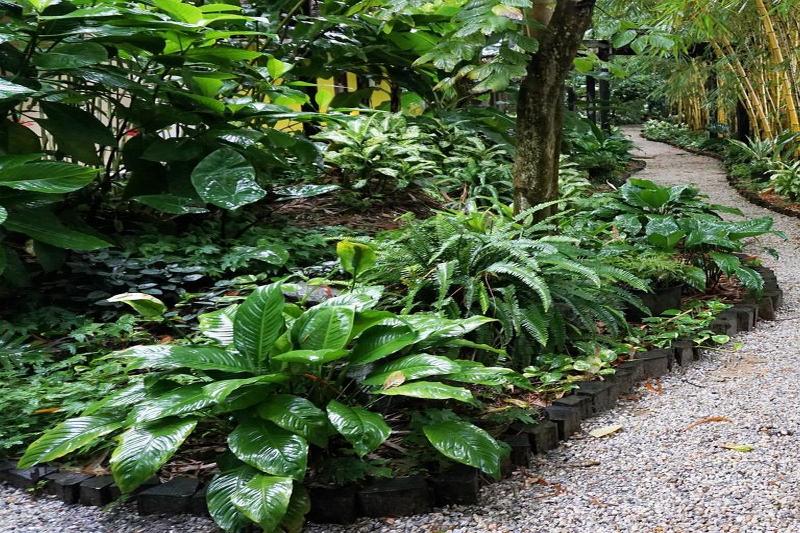 Jacana Amazon Wellness Resort