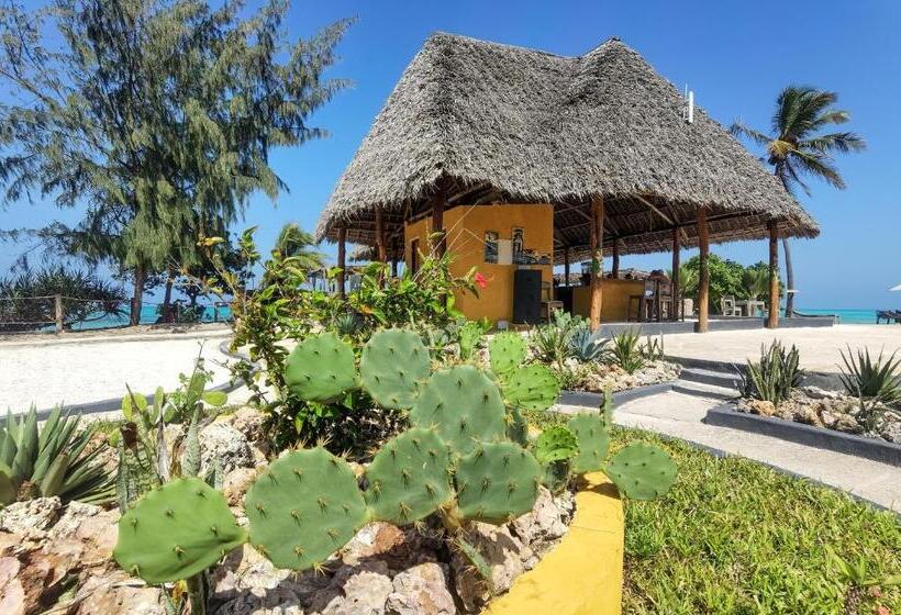 Reef & Beach Resort   Spa Jambiani