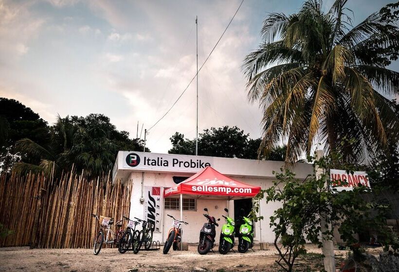 El Búho Bacalar Eco Cabañas Hostal