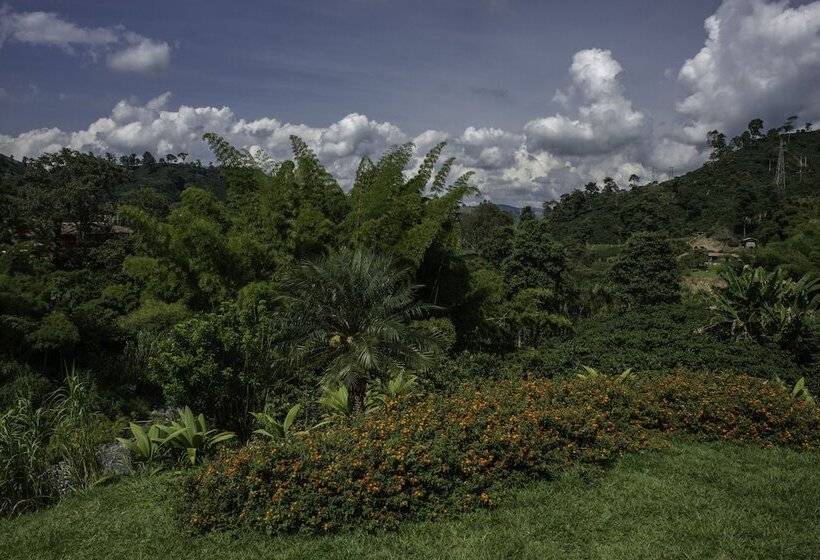 ホテル Hacienda Venecia Main House & Coffee Lodge