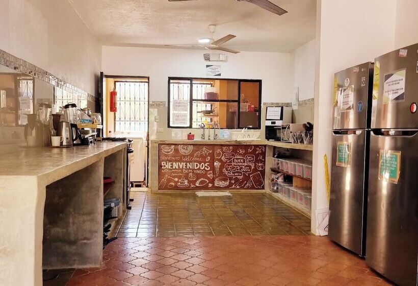 Casa Pura Vida Surf Hostel