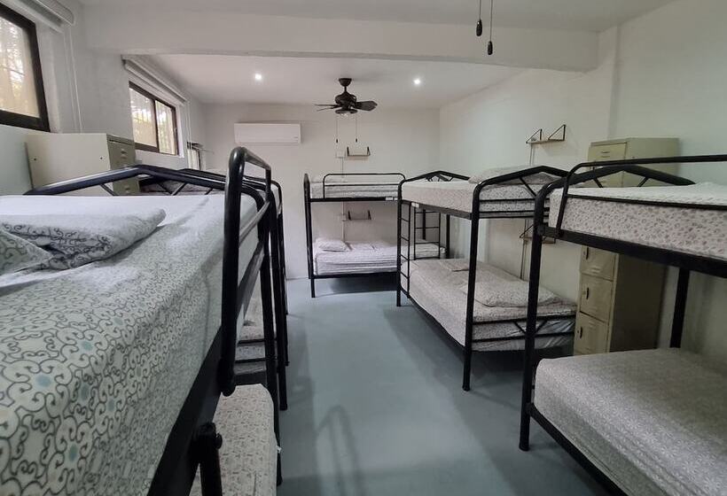 Casa Pura Vida Surf Hostel