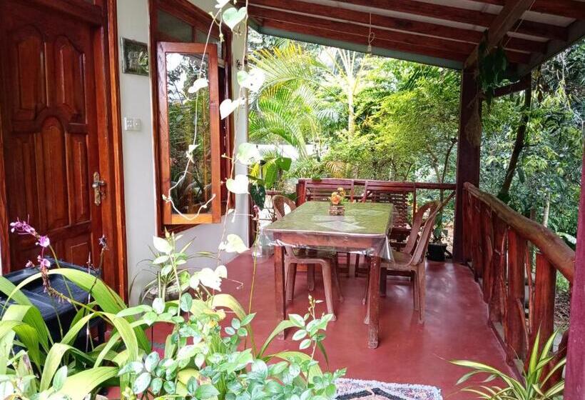 Bed and Breakfast Littleadems View