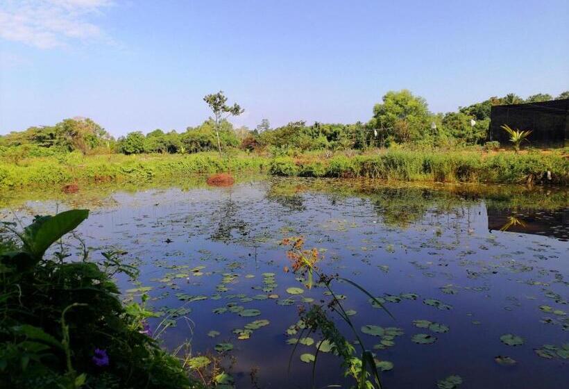 هتل Water Nest