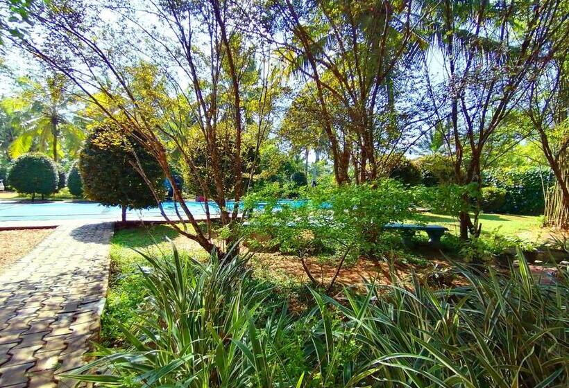 هتل Water Nest