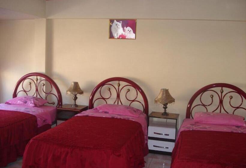 هاستل Hostal Olympic