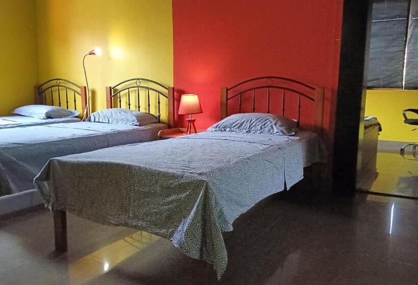 تختخواب و صبحانه Palms Villa