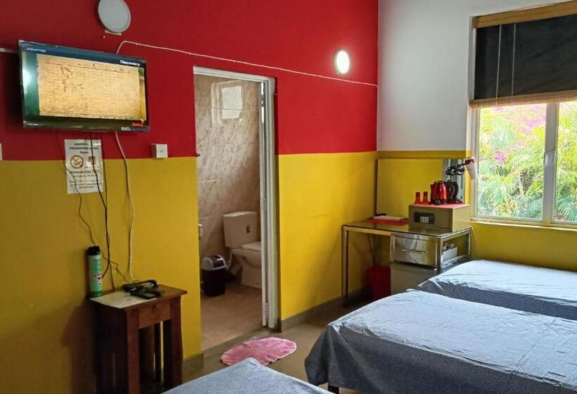 تختخواب و صبحانه Palms Villa