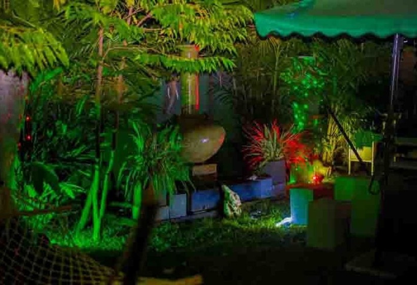 تختخواب و صبحانه Palms Villa