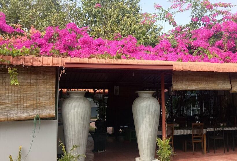 تختخواب و صبحانه Palms Villa