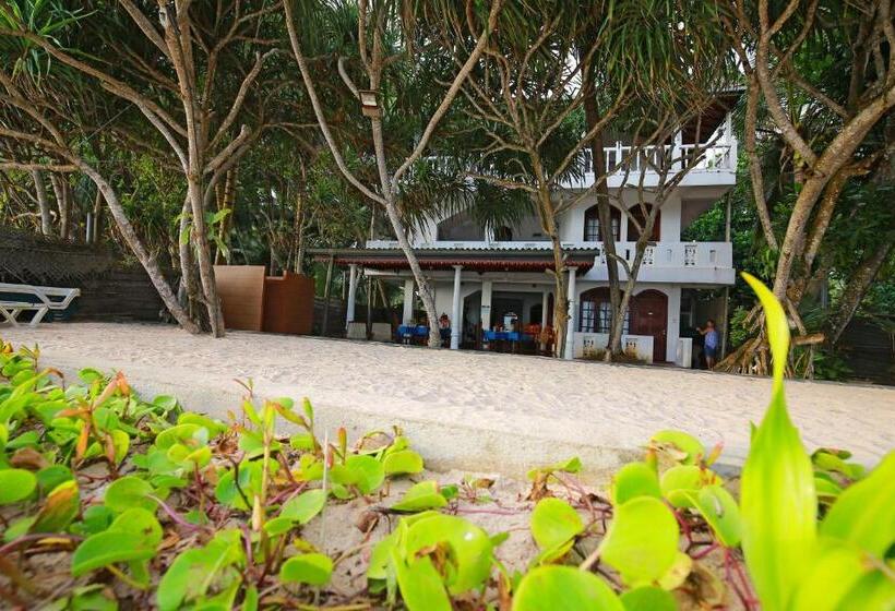 בית מלון כפרי Haus Am Meer Wilde Ananas