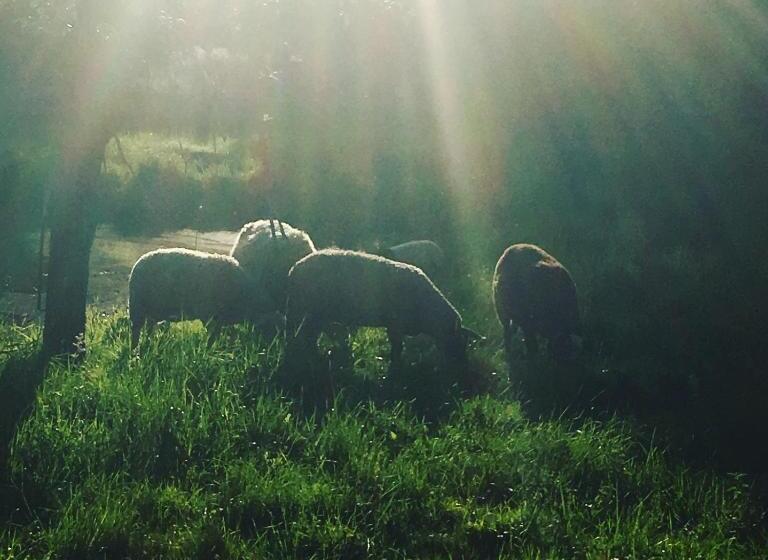 فندق Horní Dvůr