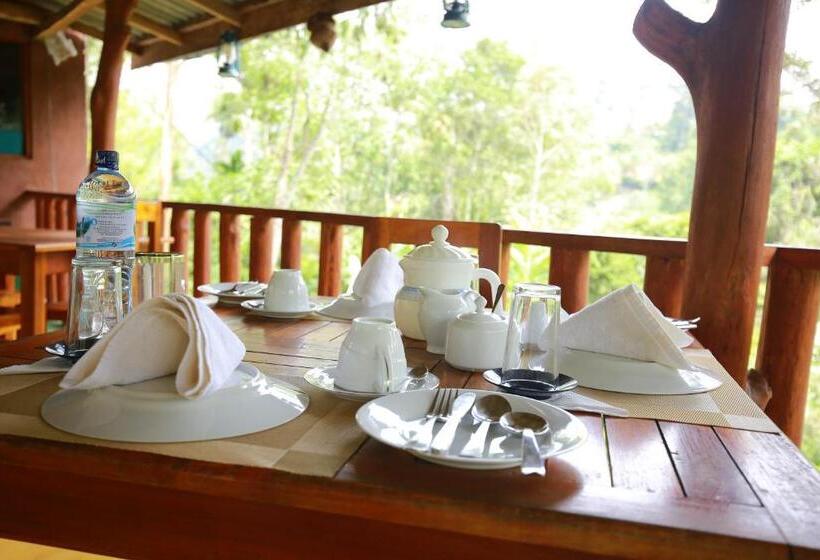 هتل Tea Forest Lodge