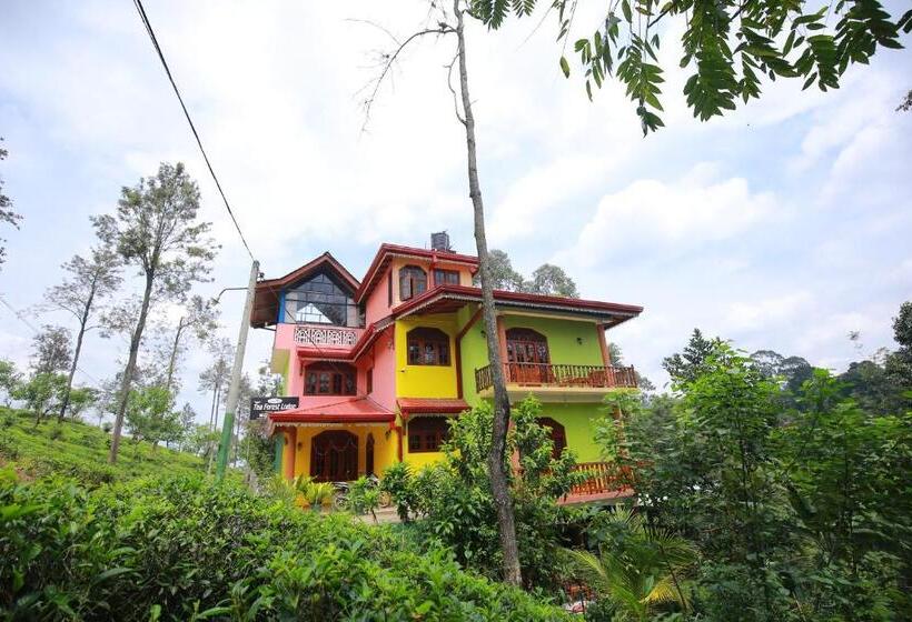 هتل Tea Forest Lodge