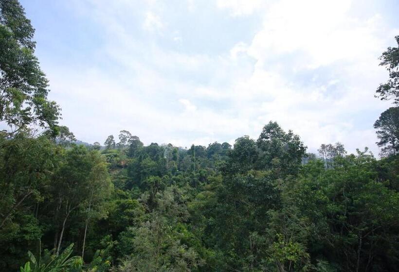 هتل Tea Forest Lodge