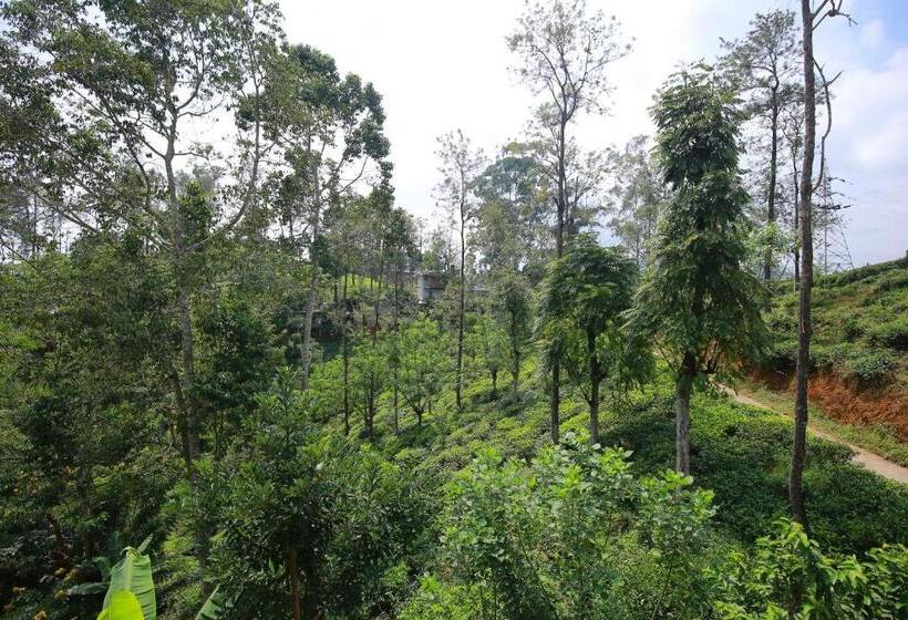 هتل Tea Forest Lodge