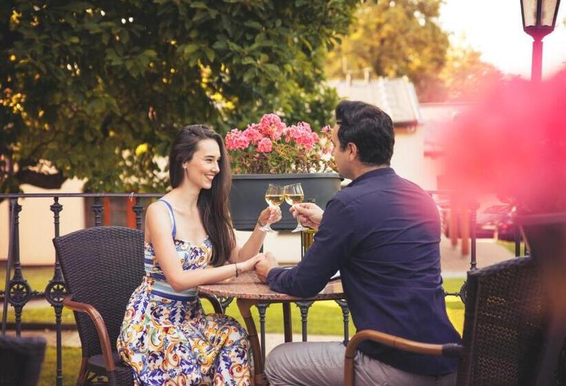 Fotos del hotel Vila Lanna:  28