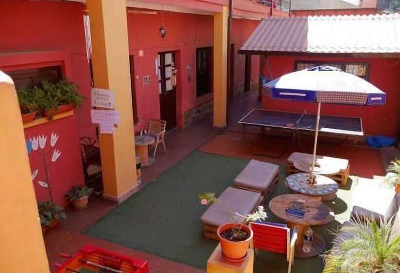 Jaguar House Hostel
