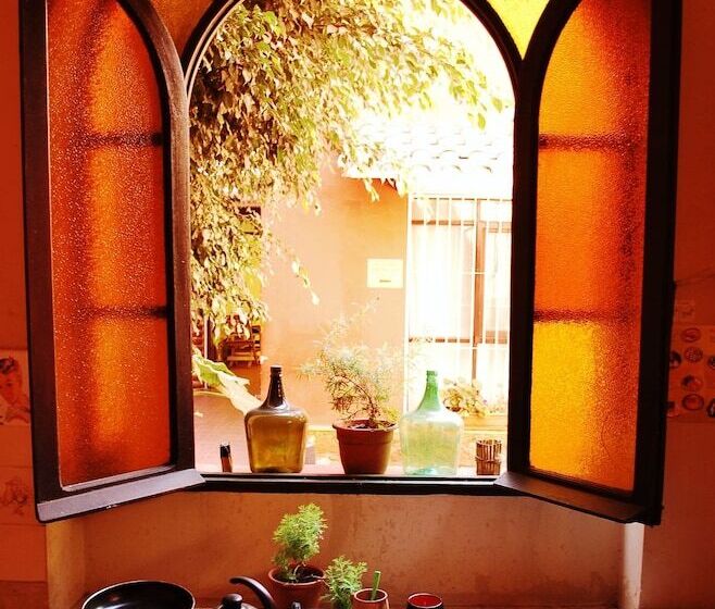 Jaguar House Hostel