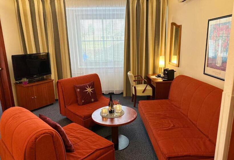 Wellness Hotel Staré Město