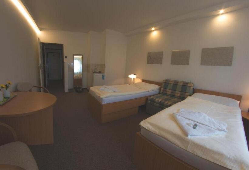 Fotos del hotel Wolf:  7