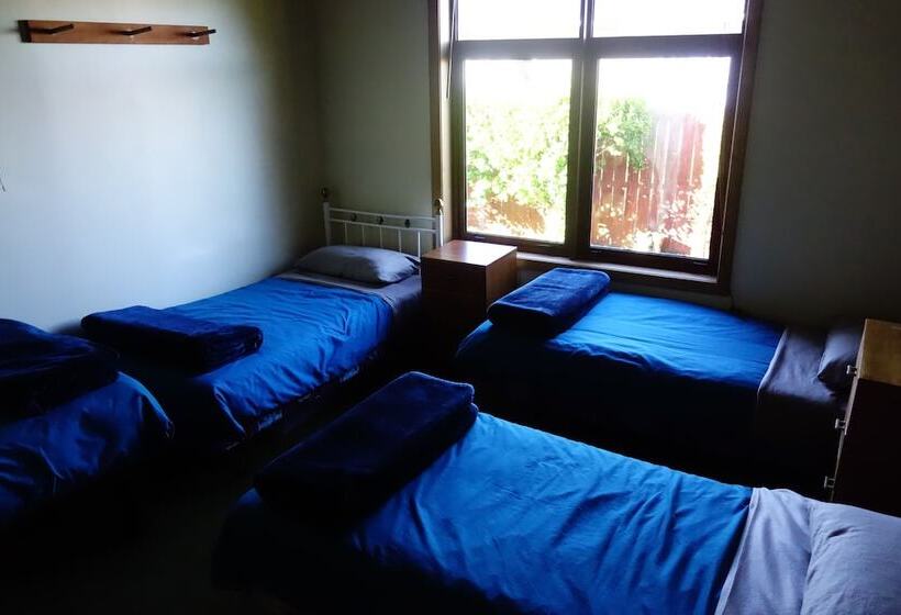 هاستل Big Tree Lodge Methven