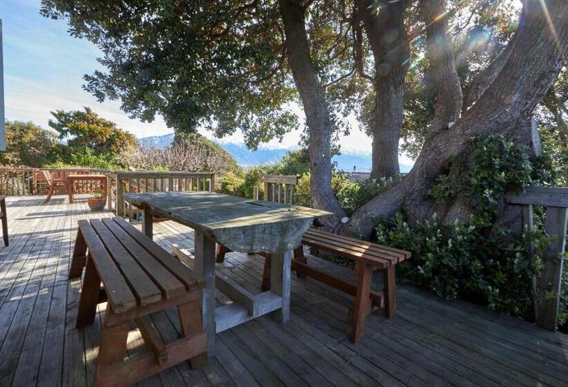 هاستل Dolphin Lodge