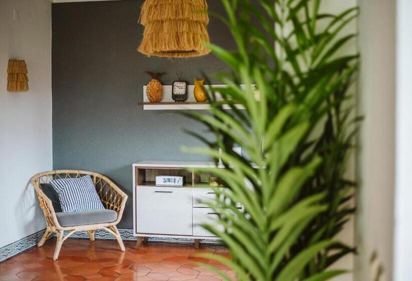 هاستل The Salty Pelican Beach Retreat