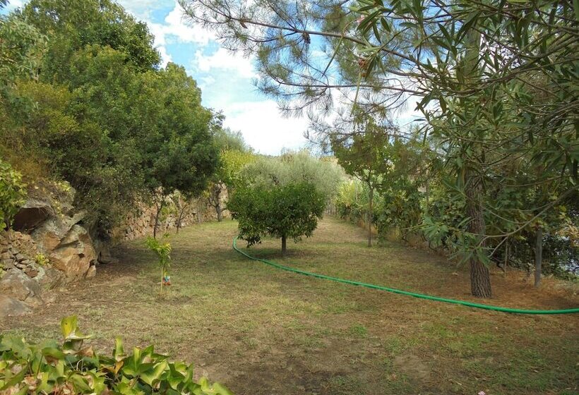 ベッドアンドブレックファースト Casa Covão Da Abitureira