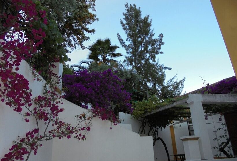 住宿加早餐  Casa Covão Da Abitureira