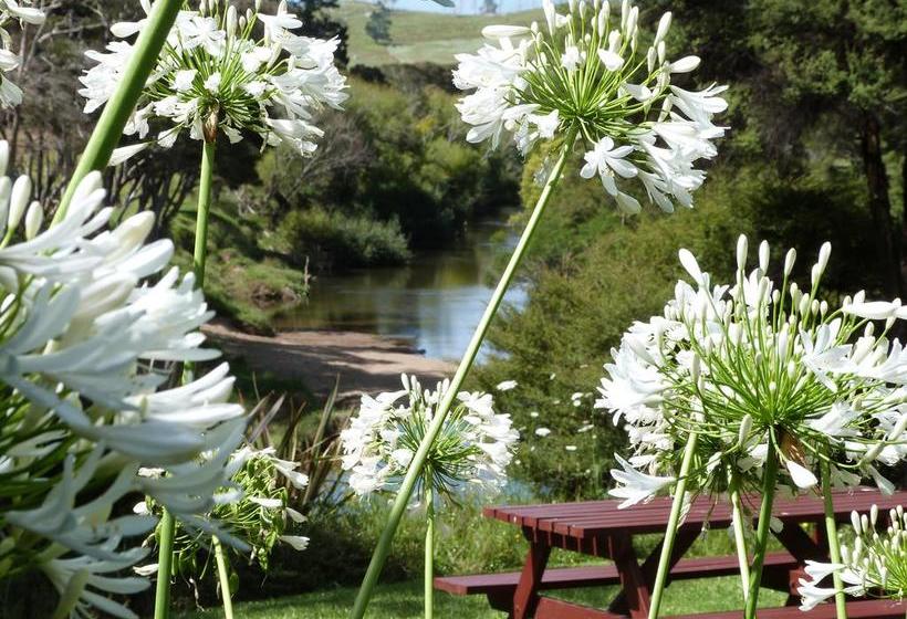 تختخواب و صبحانه Riverside Homestead