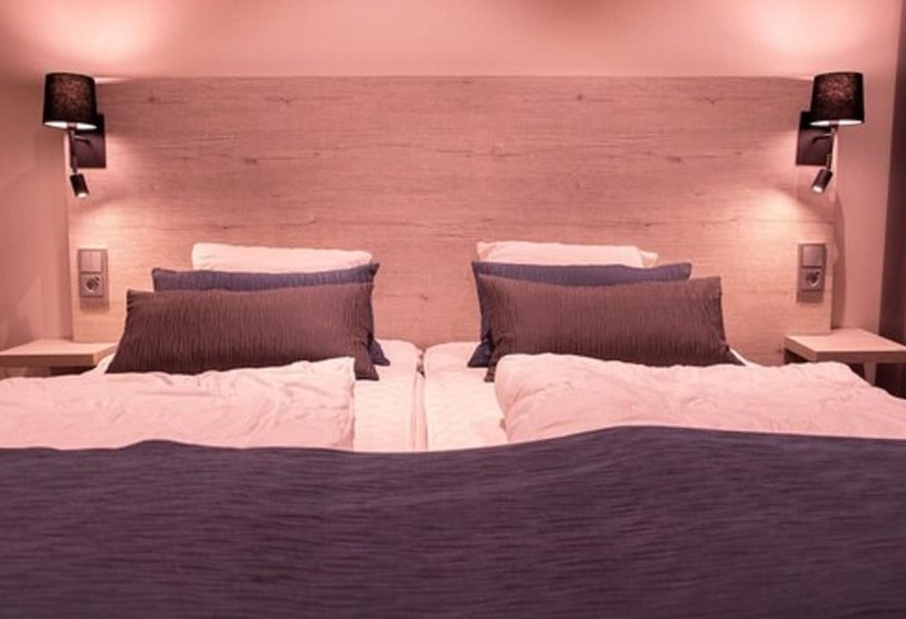 Dream  Luxury Hostel