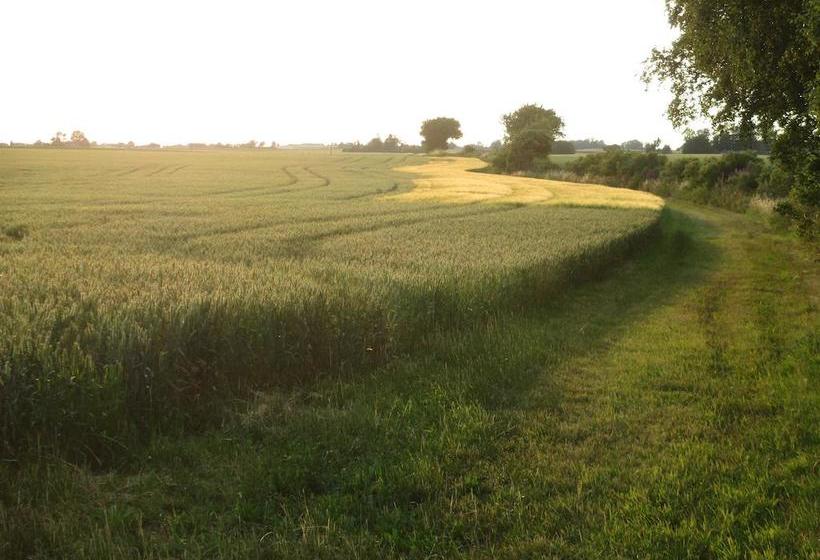 Rävåkra Bed & Breakfast