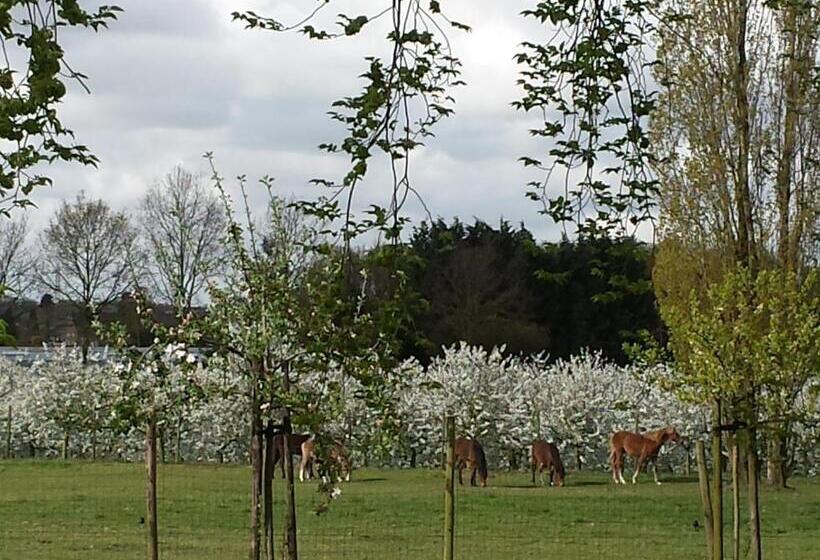 B&b Johannes Hoeve