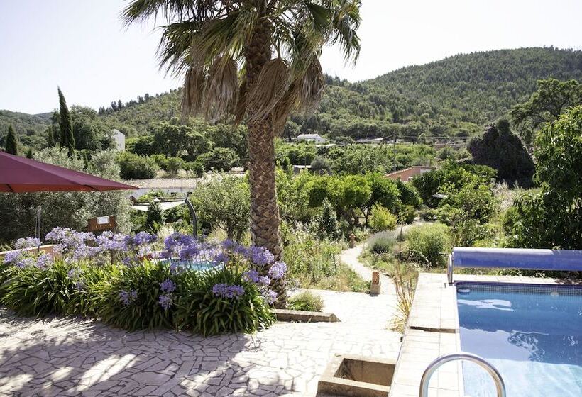 مبيت وإفطار Casa Spa D Alma