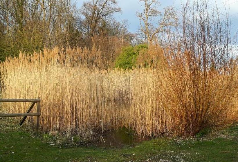 צימר Mybednbreakfast In Bottmingen