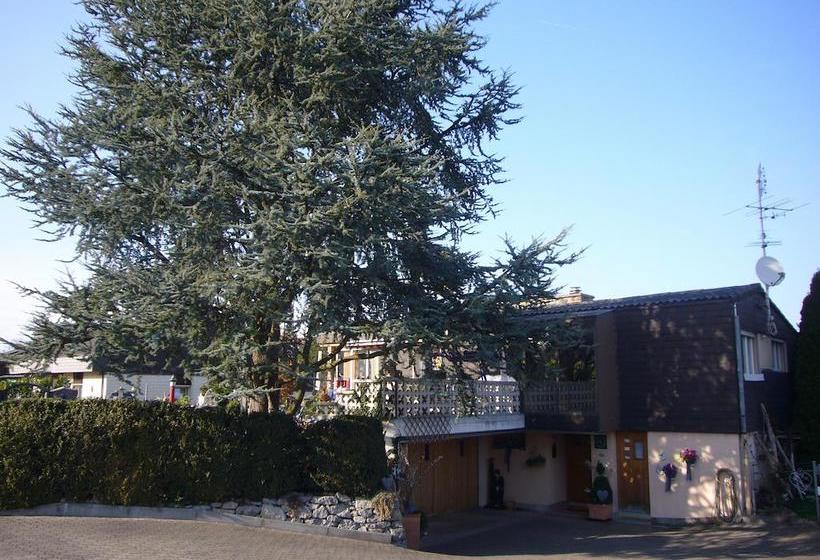 مبيت وإفطار Reni S Oase Am Bodensee