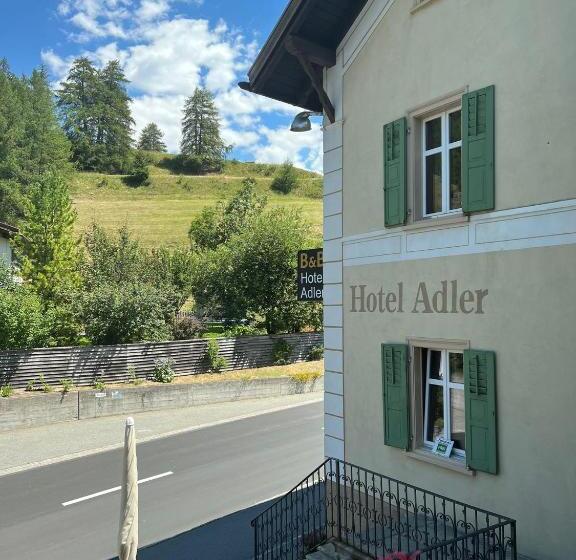 호텔 Adler Garni