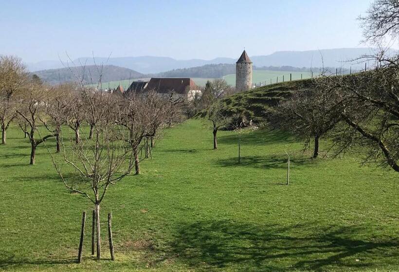 Hotel Ajoiespa