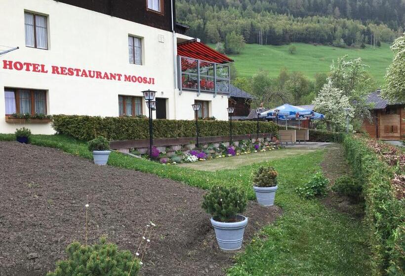 فندق Haus Mühlebach