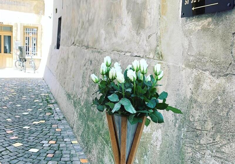 فندق Le Rive Sud