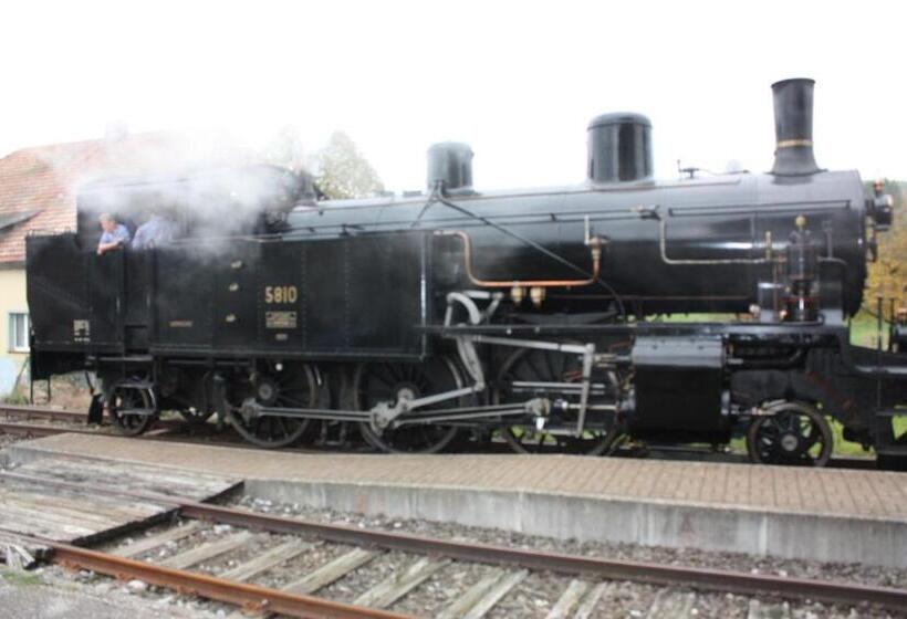 בית מלון כפרי Restaurant Koi Gartenteich