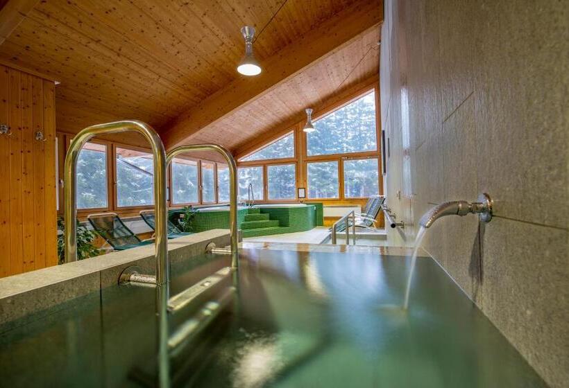 ホテル Und Naturresort Handeck