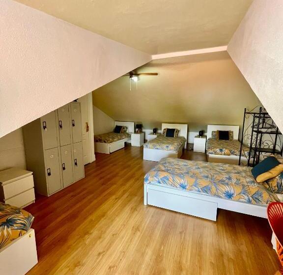 Ljmonade Hostel
